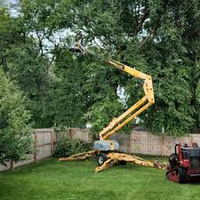 Best Lawn Mowing  in Basalt, CO